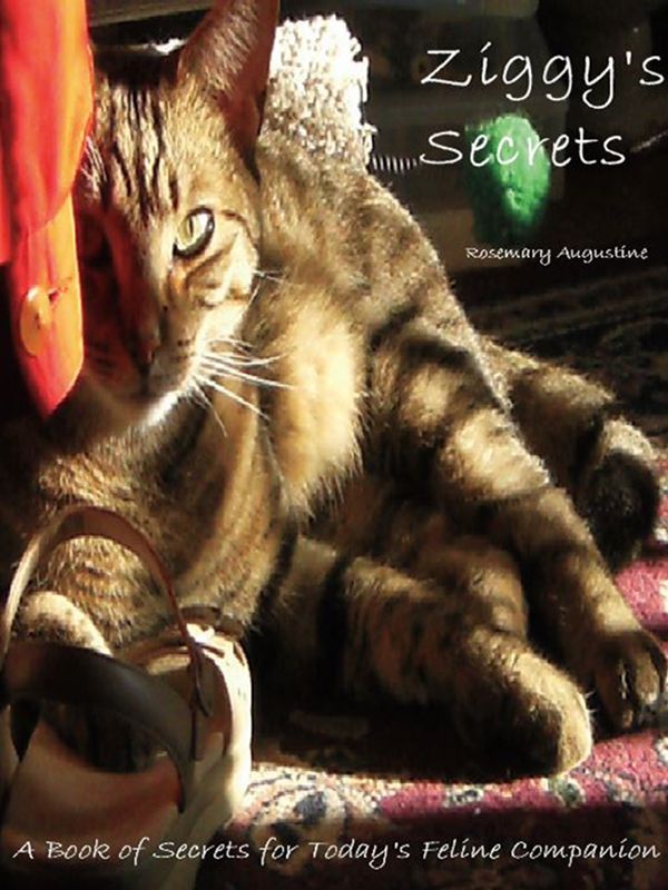 Ziggy’s Secrets