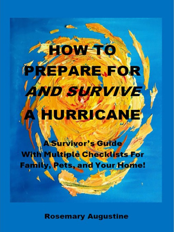 How To Survive a Hurricane